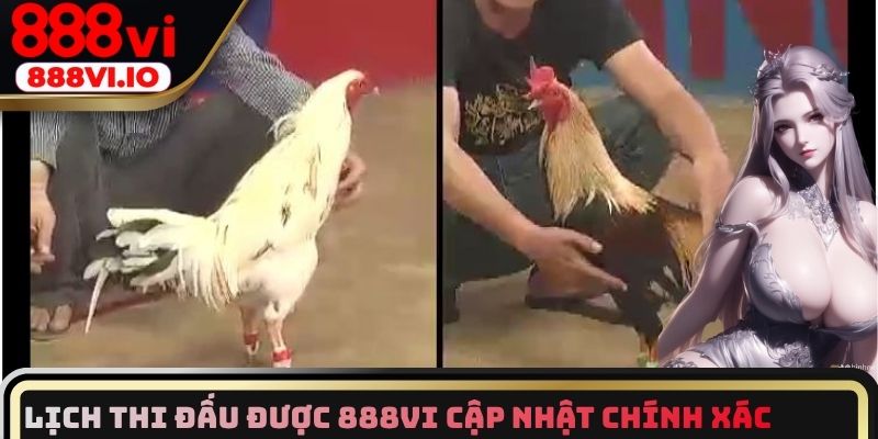 Lịch thi đấu được 888vi cập nhật chính xác