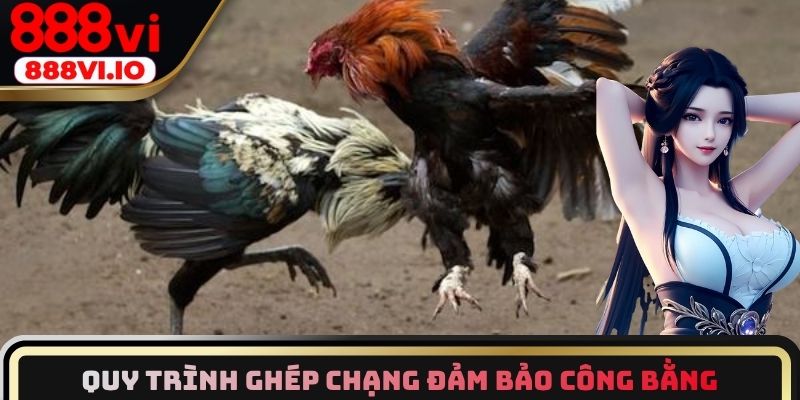 Quy trình ghép chạng đảm bảo tính công bằng